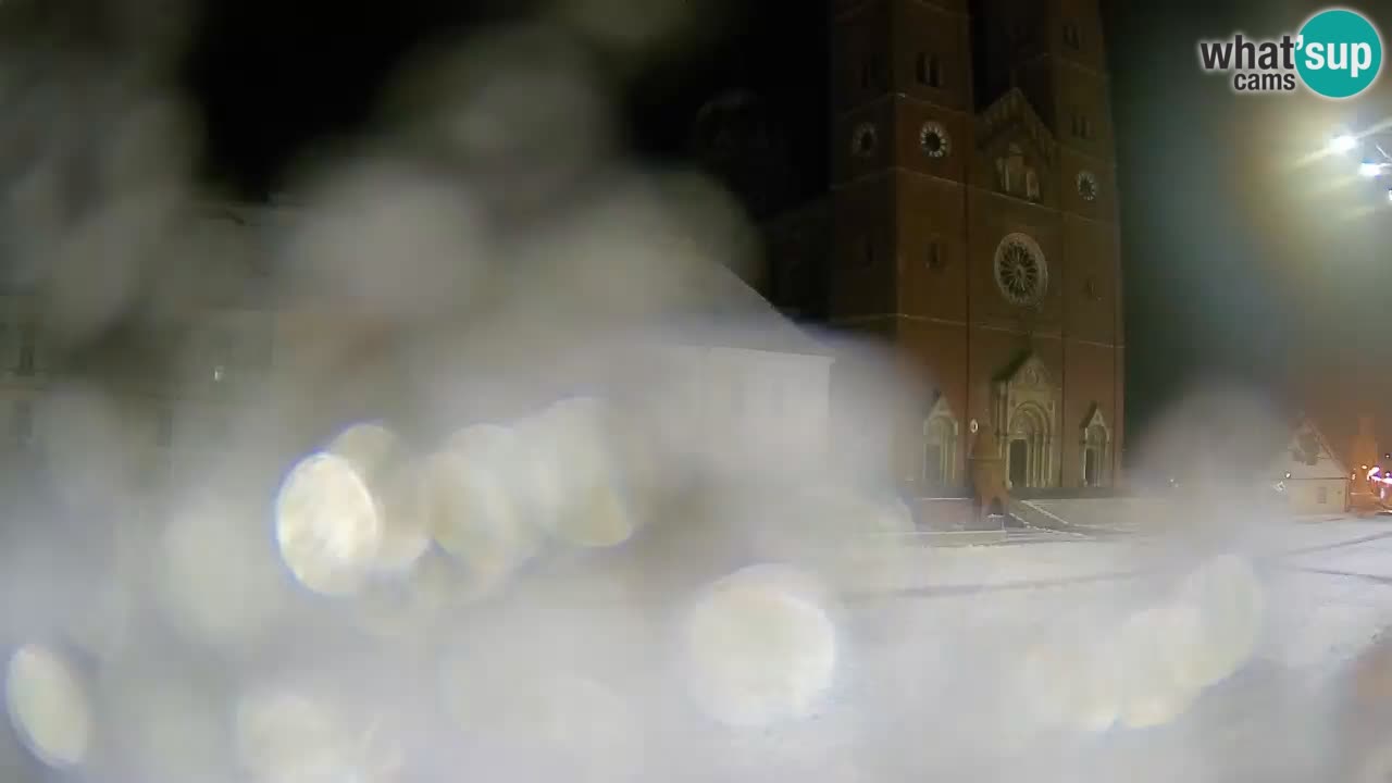 Camera en vivo Đakovo Catedral Sv. Petra