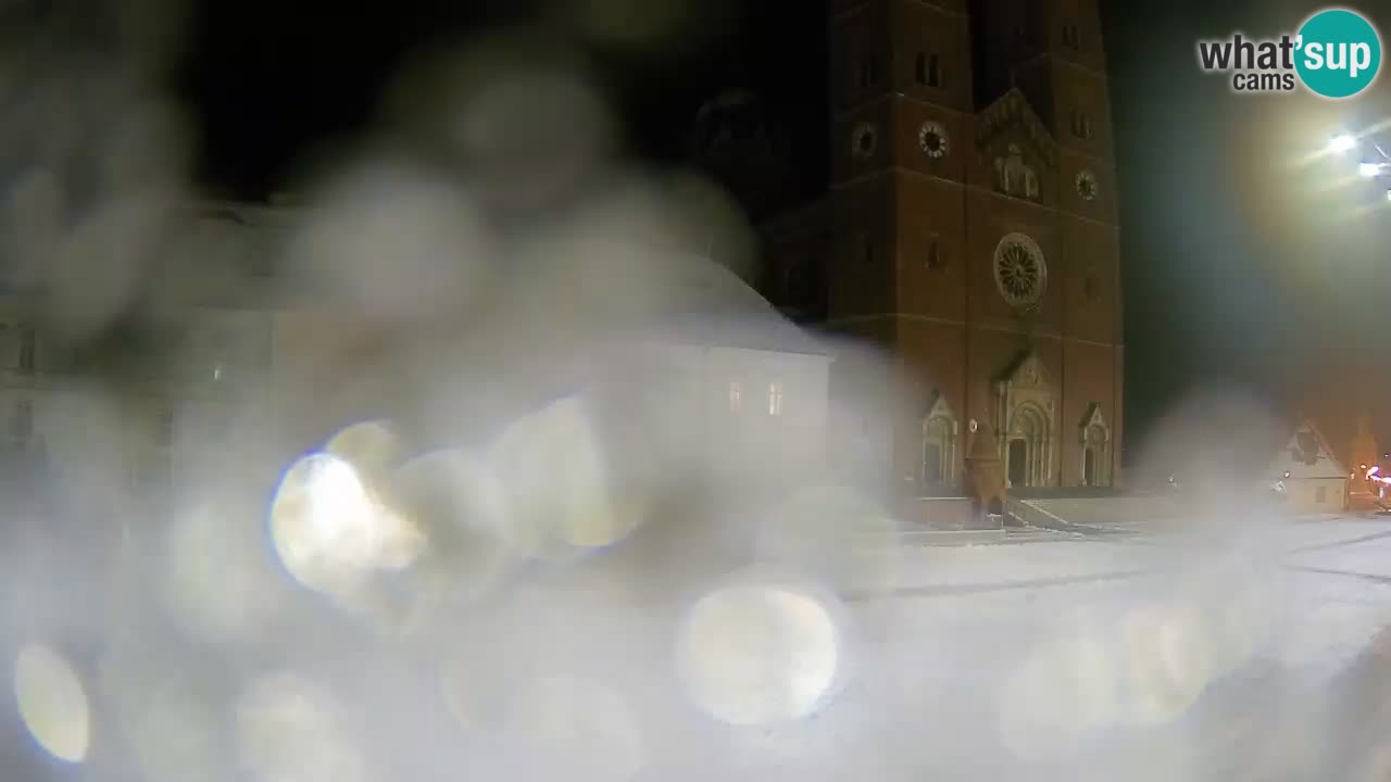 Livecam Đakovo Cattedrale di S. Pietro