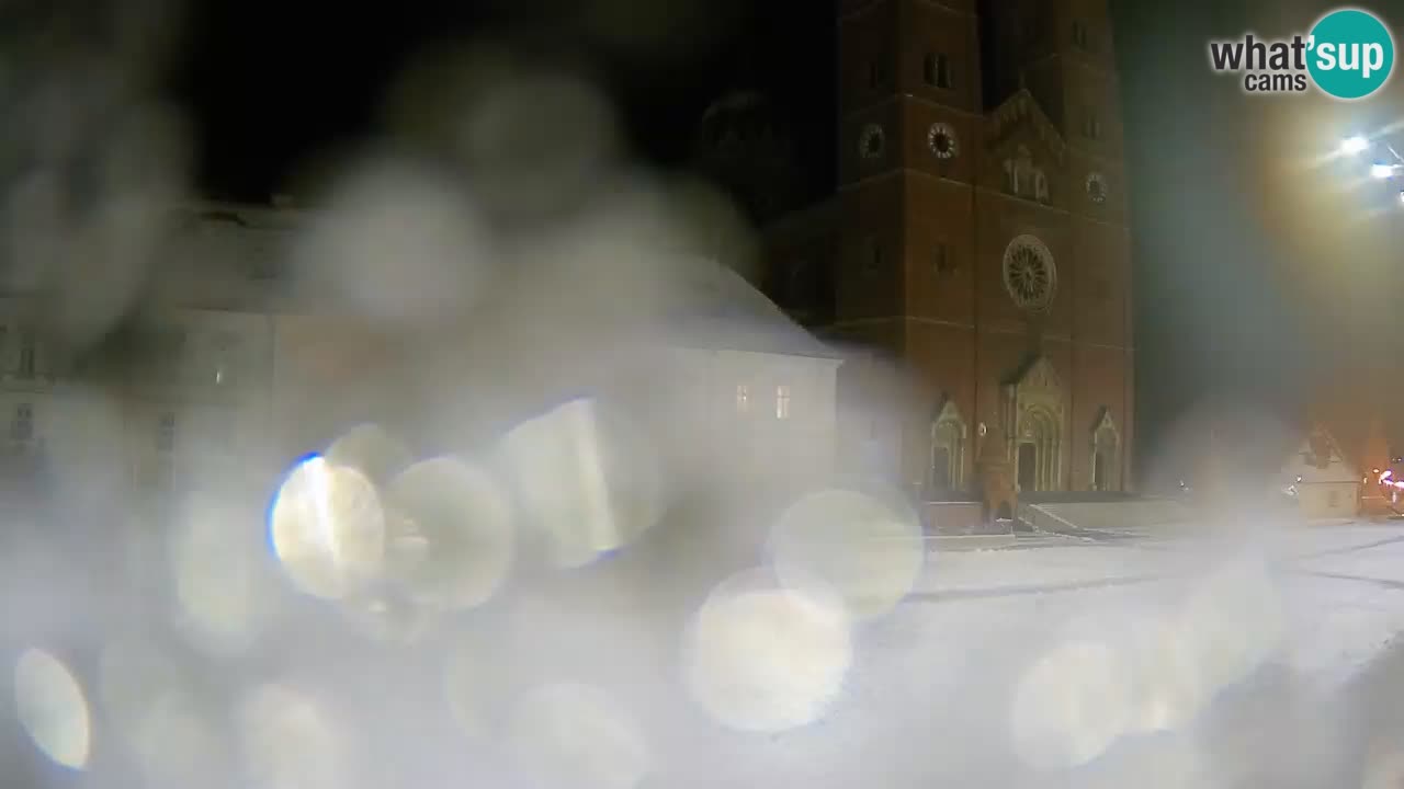 Camera en vivo Đakovo Catedral Sv. Petra