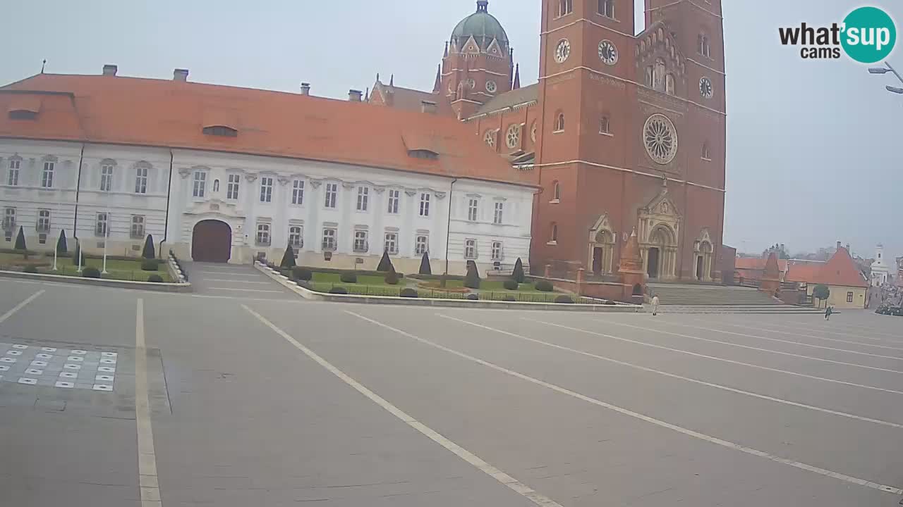 Camera en vivo Đakovo Catedral Sv. Petra