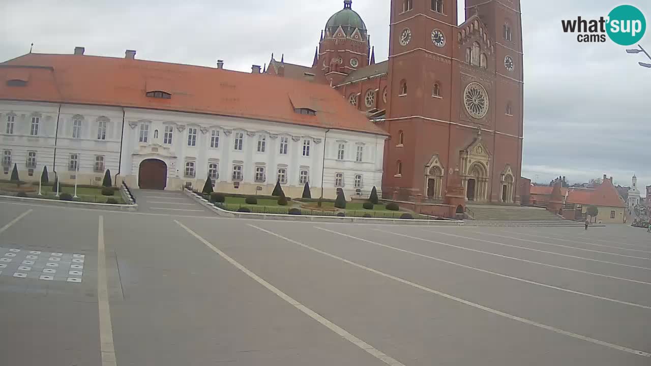 Camera en vivo Đakovo Catedral Sv. Petra