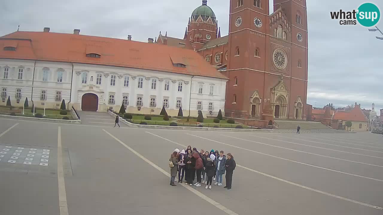 Camera en vivo Đakovo Catedral Sv. Petra