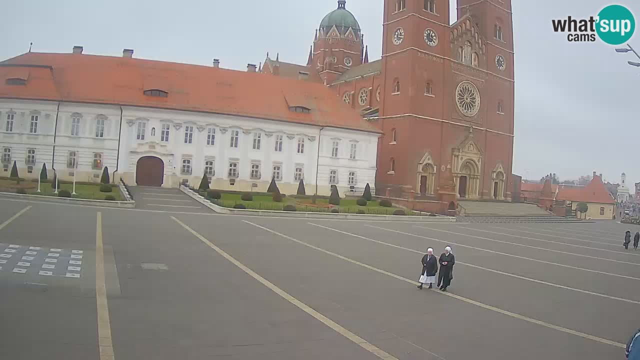 Livecam Đakovo Dom Sv. Petra