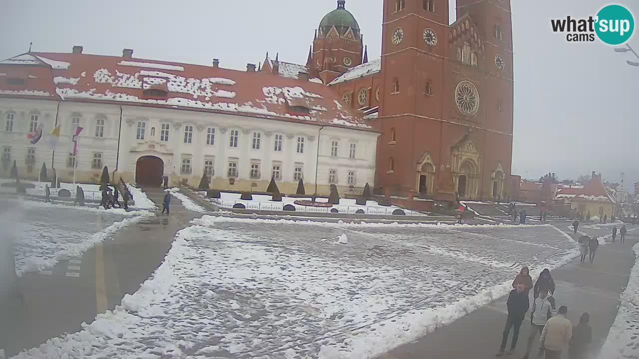 Livecam Đakovo Dom Sv. Petra