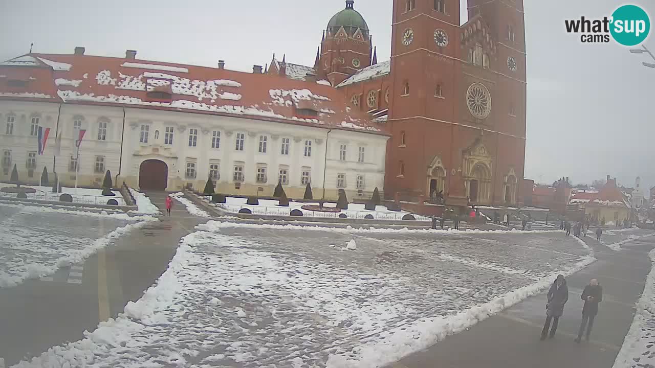 Livecam Đakovo Cattedrale di S. Pietro