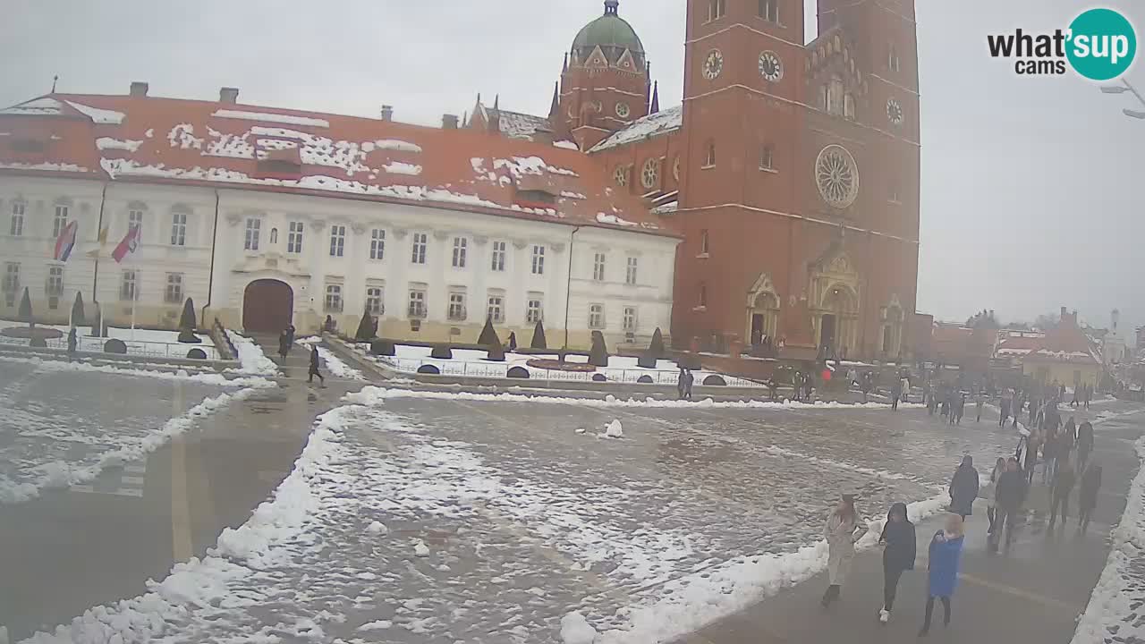 Livecam Đakovo Cattedrale di S. Pietro