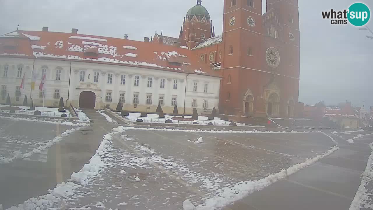 Livecam Đakovo Cattedrale di S. Pietro