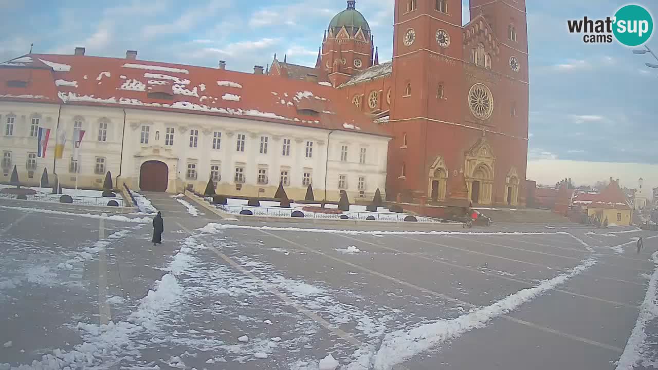 Camera en vivo Đakovo Catedral Sv. Petra