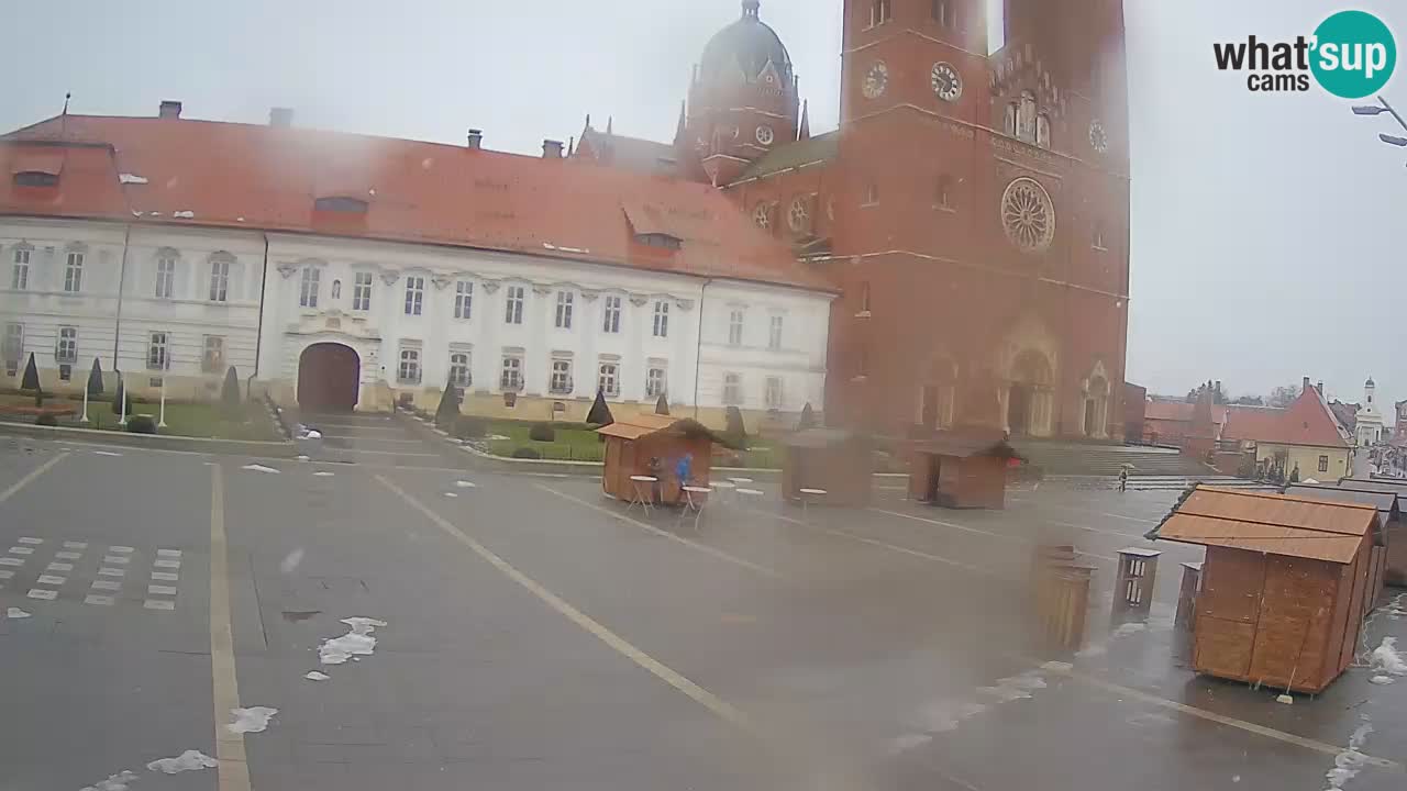 Camera en vivo Đakovo Catedral Sv. Petra