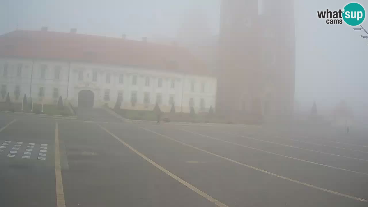 Livecam Đakovo Dom Sv. Petra