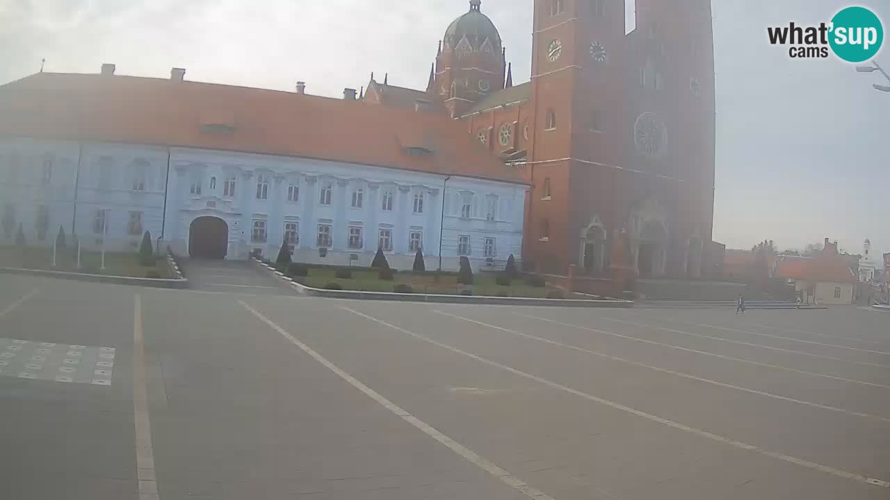 Camera en vivo Đakovo Catedral Sv. Petra