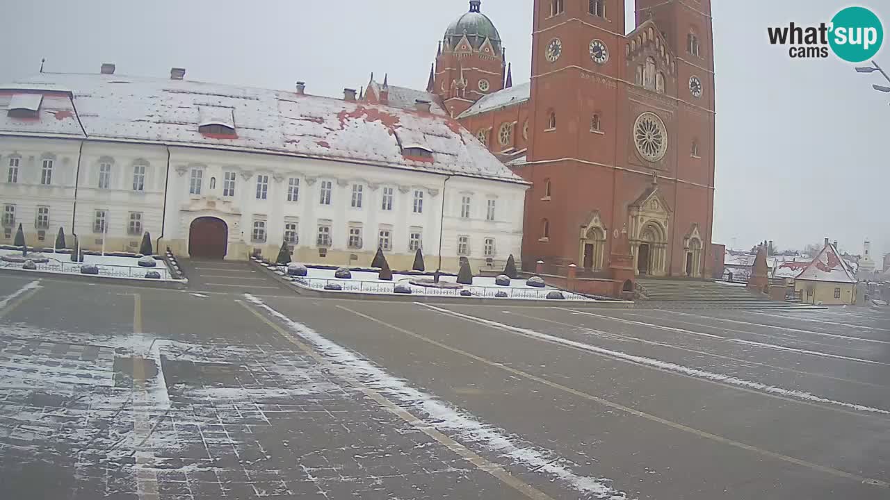 Livecam Đakovo Dom Sv. Petra