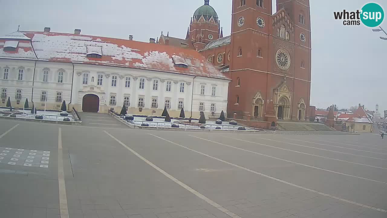 Camera en vivo Đakovo Catedral Sv. Petra