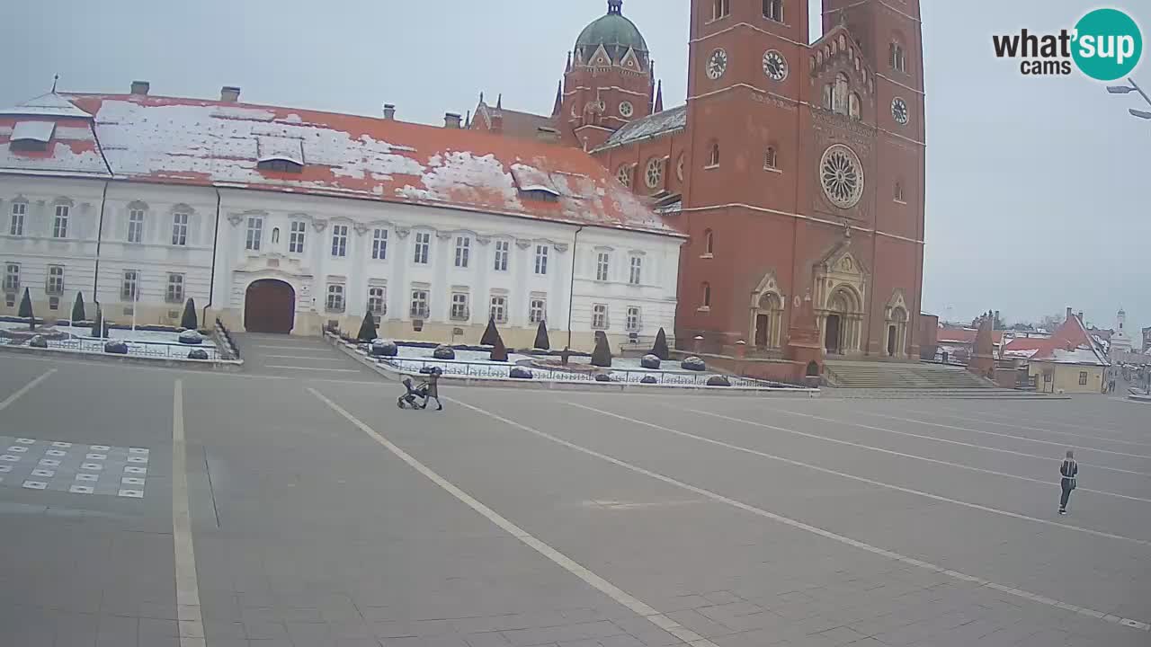 Livecam Đakovo Dom Sv. Petra