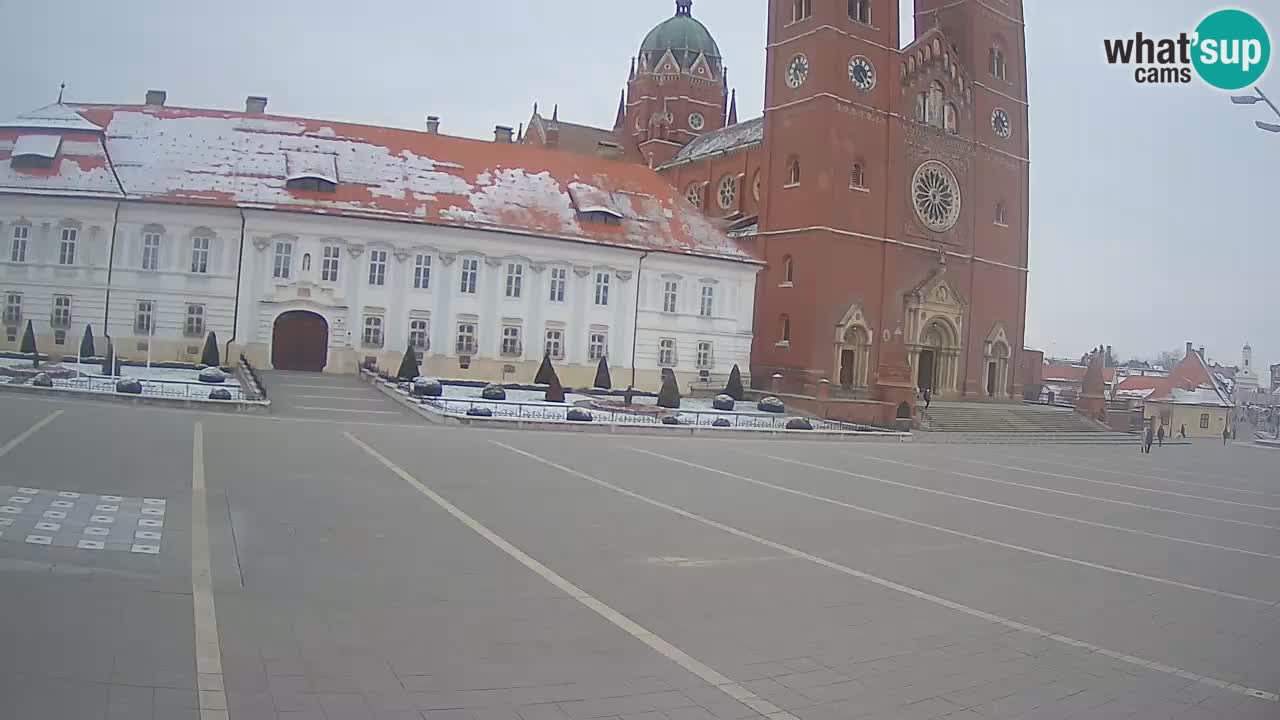 Camera en vivo Đakovo Catedral Sv. Petra