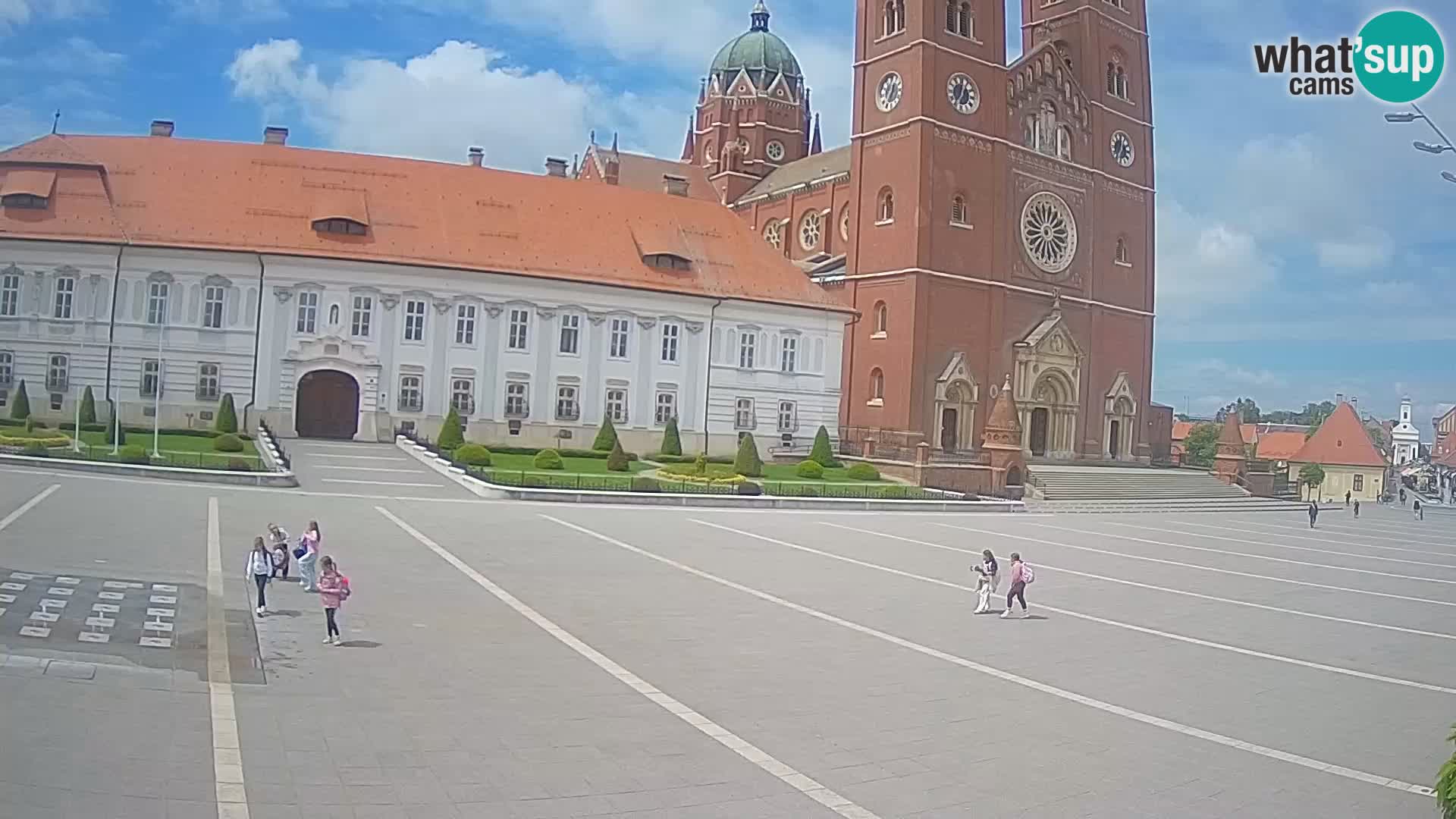 Camera en vivo Đakovo Catedral Sv. Petra