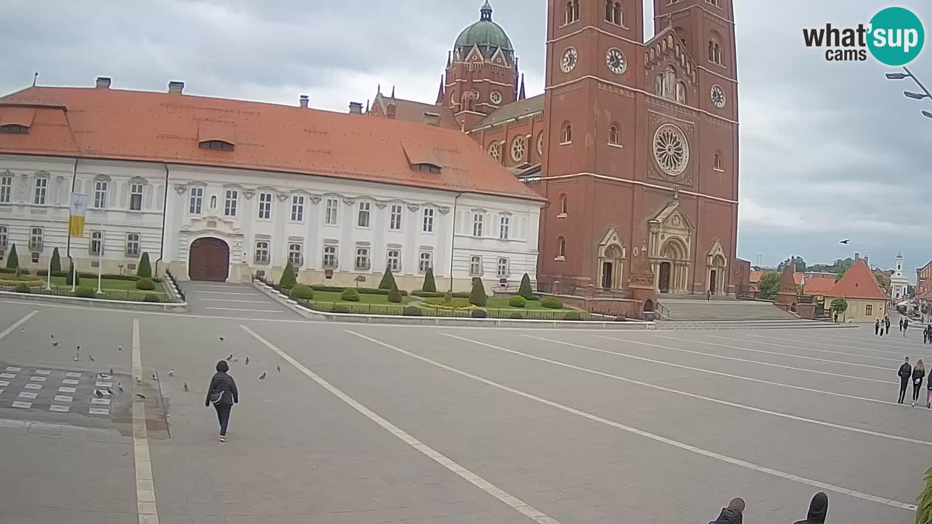 Camera en vivo Đakovo Catedral Sv. Petra
