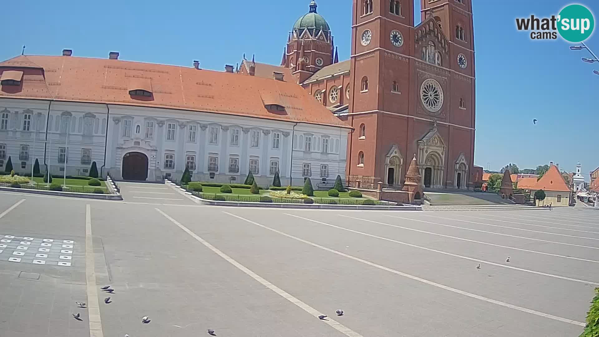 Livecam Đakovo Dom Sv. Petra