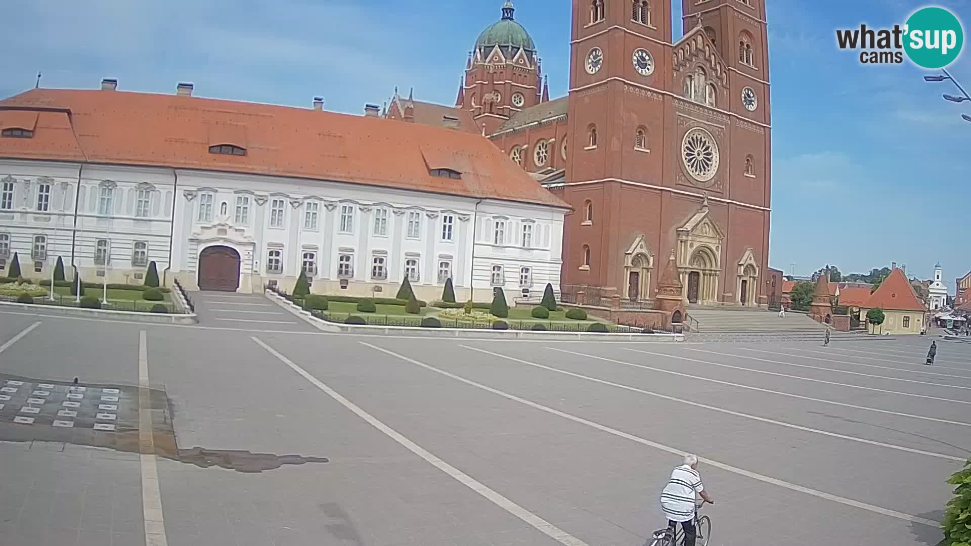 Camera en vivo Đakovo Catedral Sv. Petra