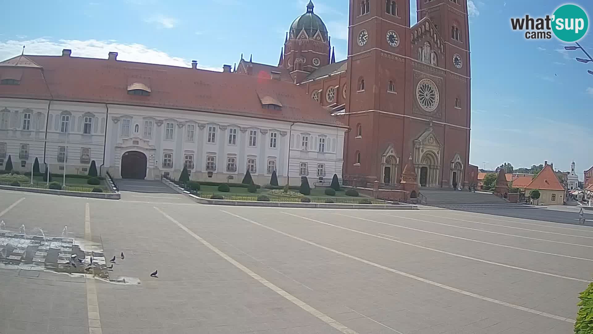 Camera en vivo Đakovo Catedral Sv. Petra