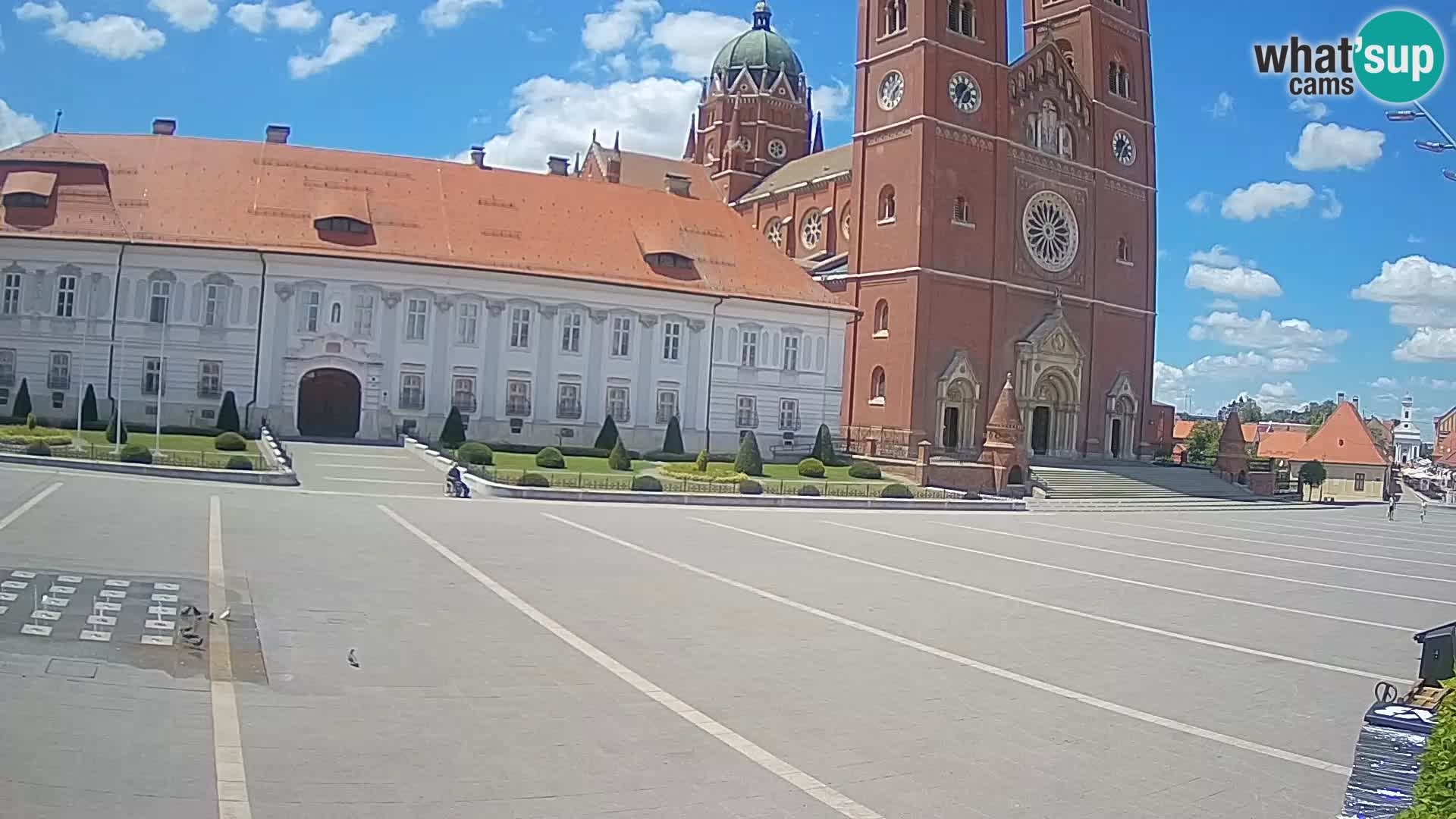 Camera en vivo Đakovo Catedral Sv. Petra