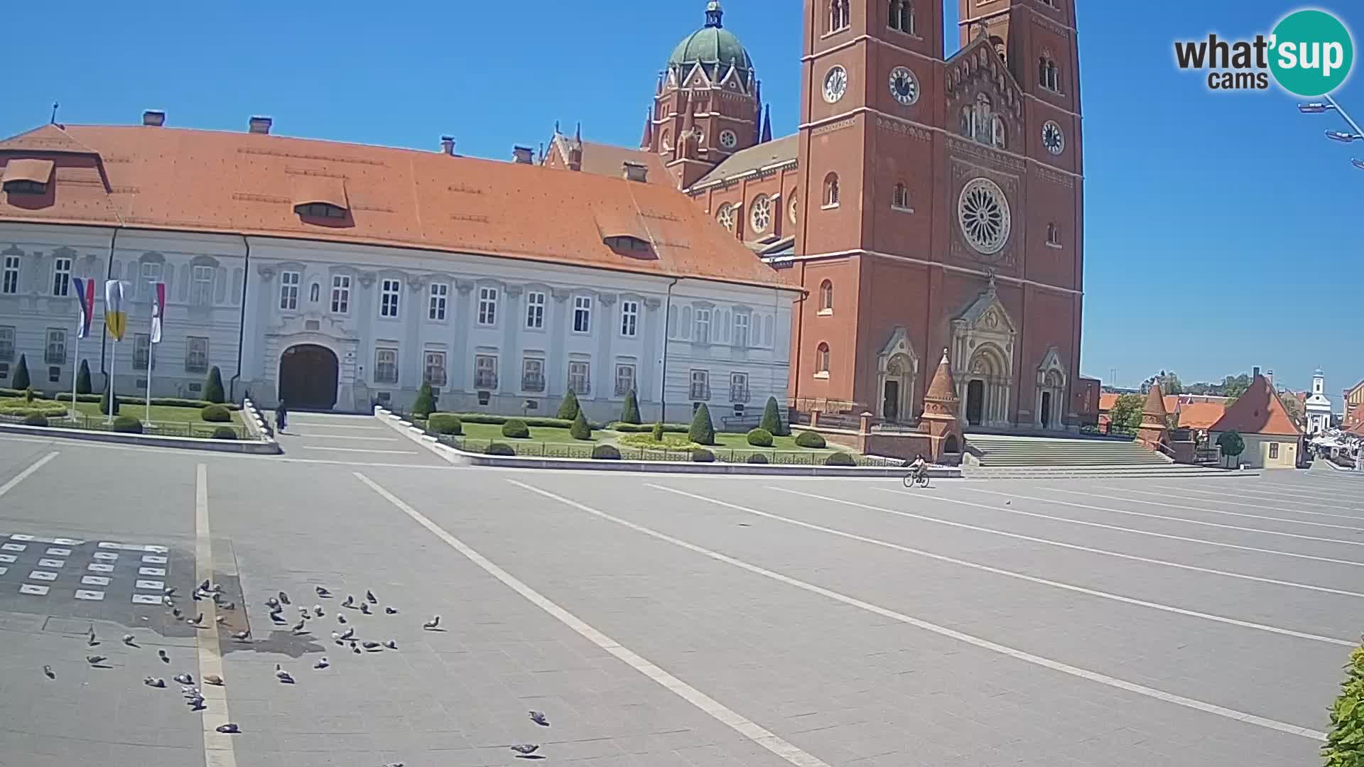 Camera en vivo Đakovo Catedral Sv. Petra