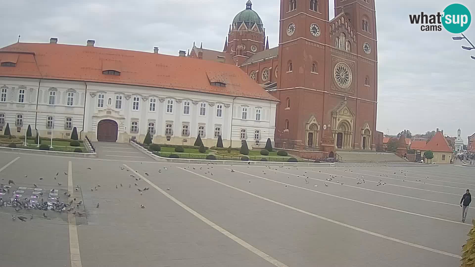 Camera en vivo Đakovo Catedral Sv. Petra