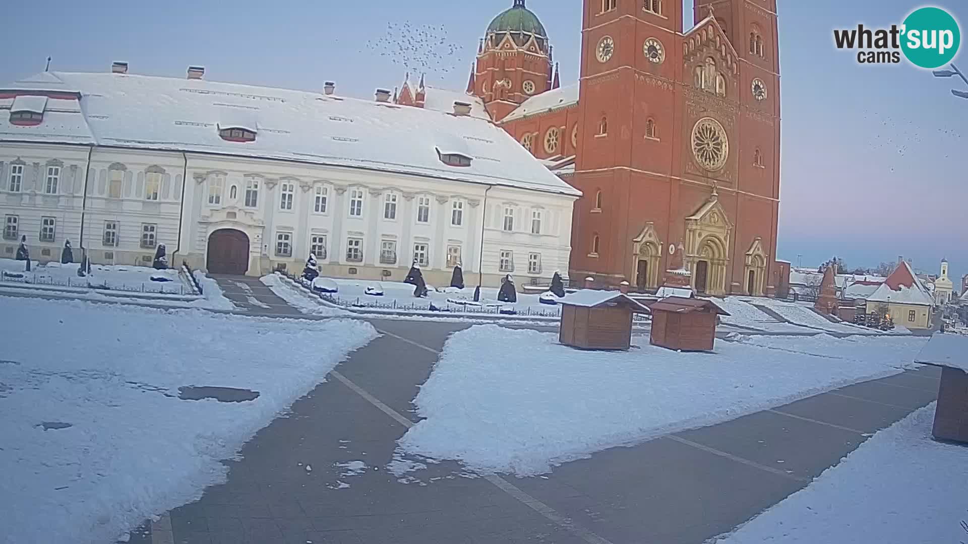 Camera en vivo Đakovo Catedral Sv. Petra