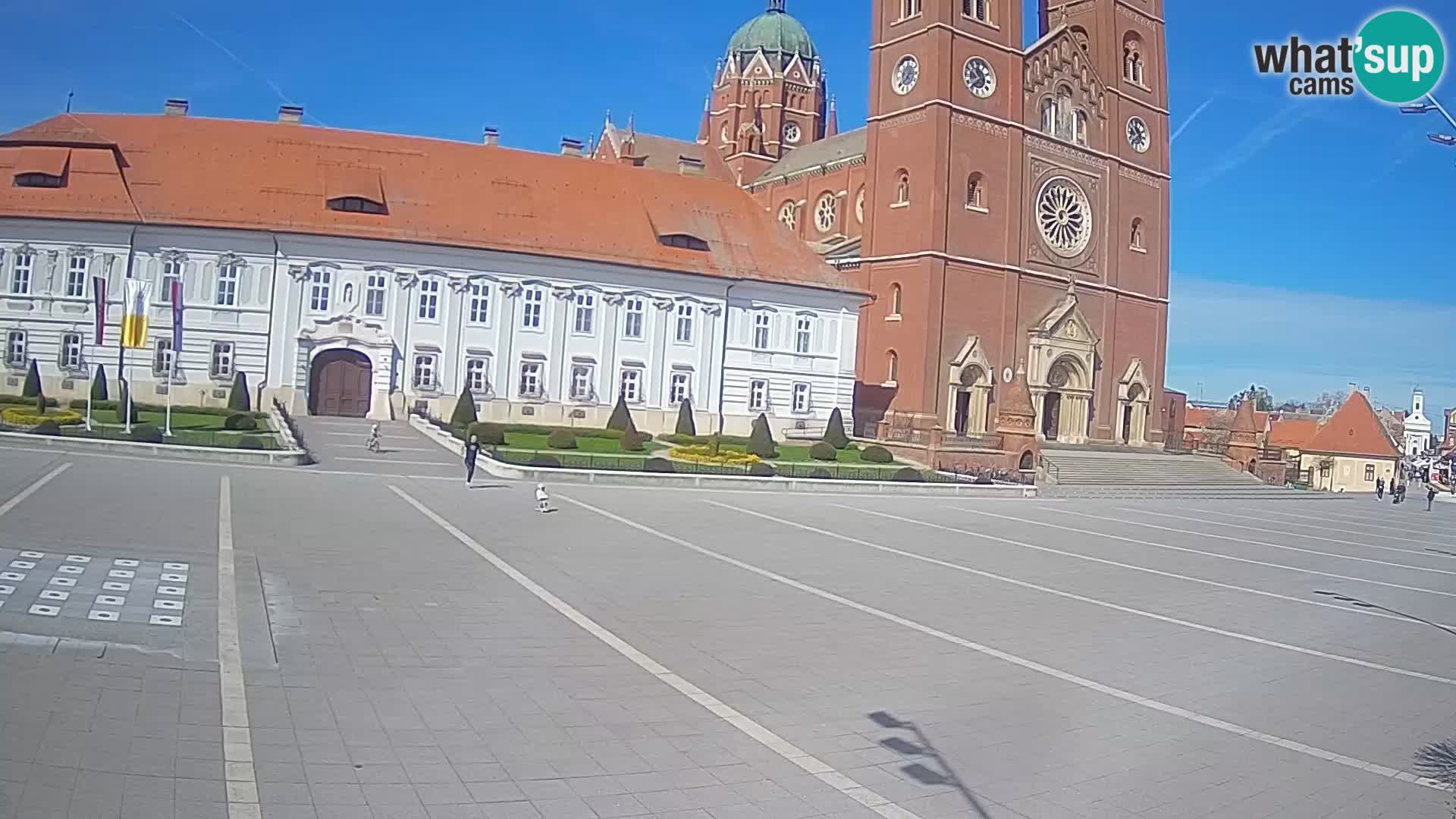Livecam Đakovo Dom Sv. Petra