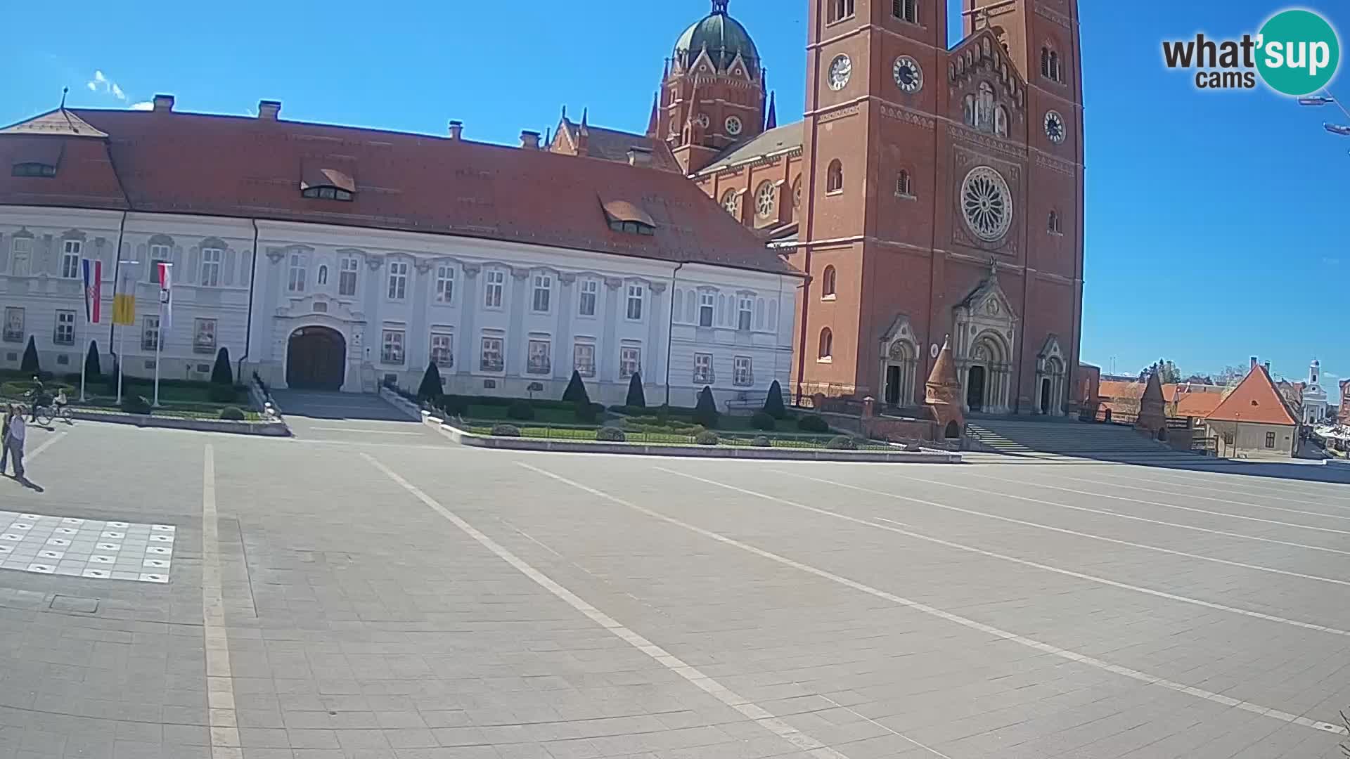 Camera en vivo Đakovo Catedral Sv. Petra