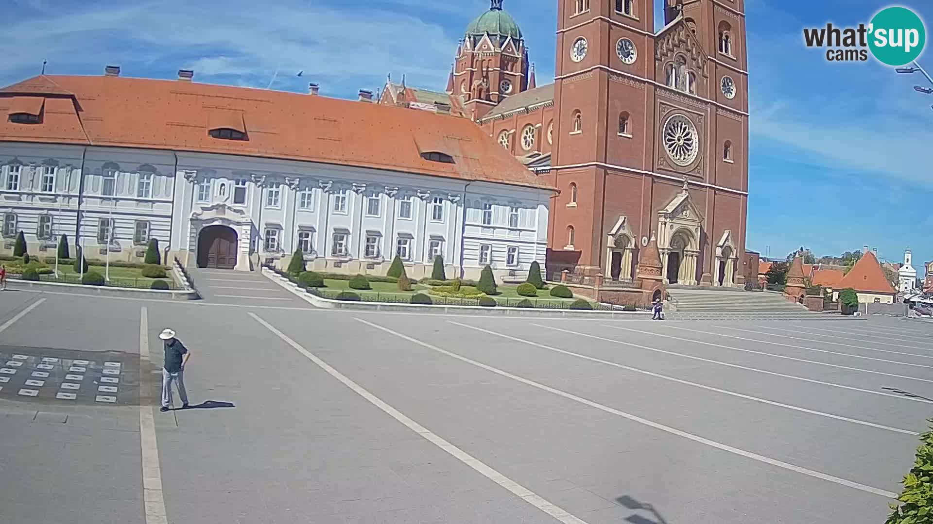 Camera en vivo Đakovo Catedral Sv. Petra