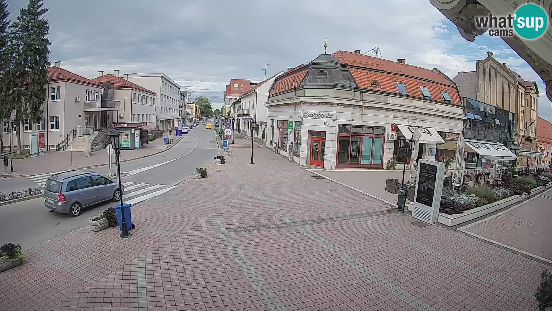Djakovo canera en vivo – Korzo