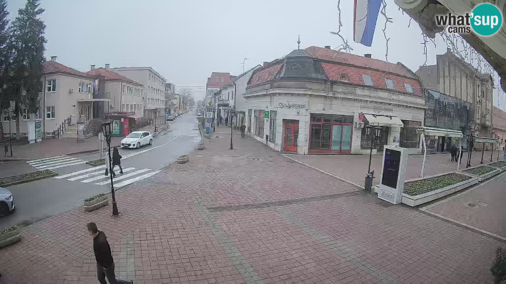 Djakovo canera en vivo – Korzo