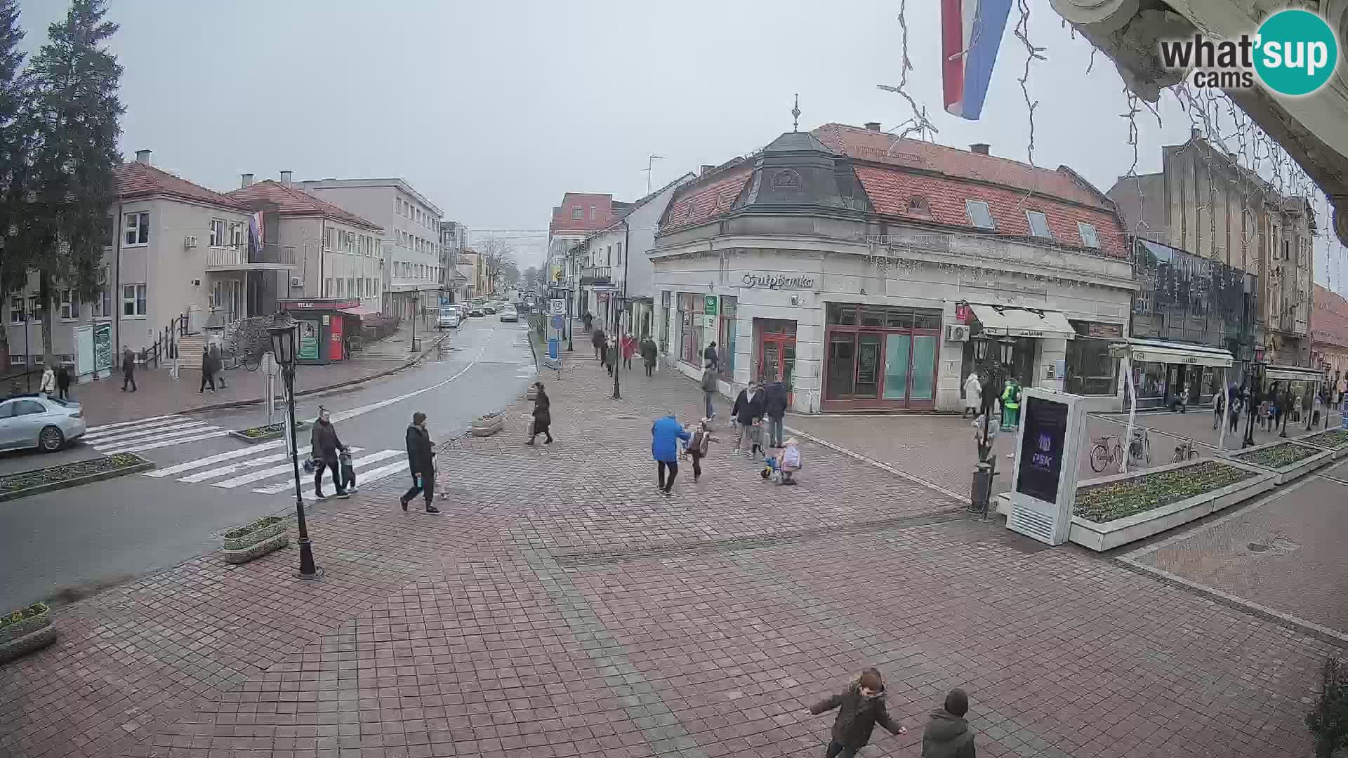 Djakovo canera en vivo – Korzo