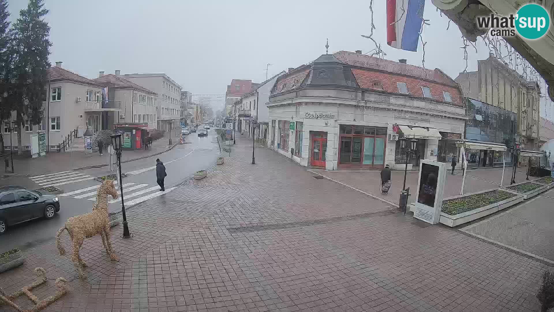 Djakovo canera en vivo – Korzo