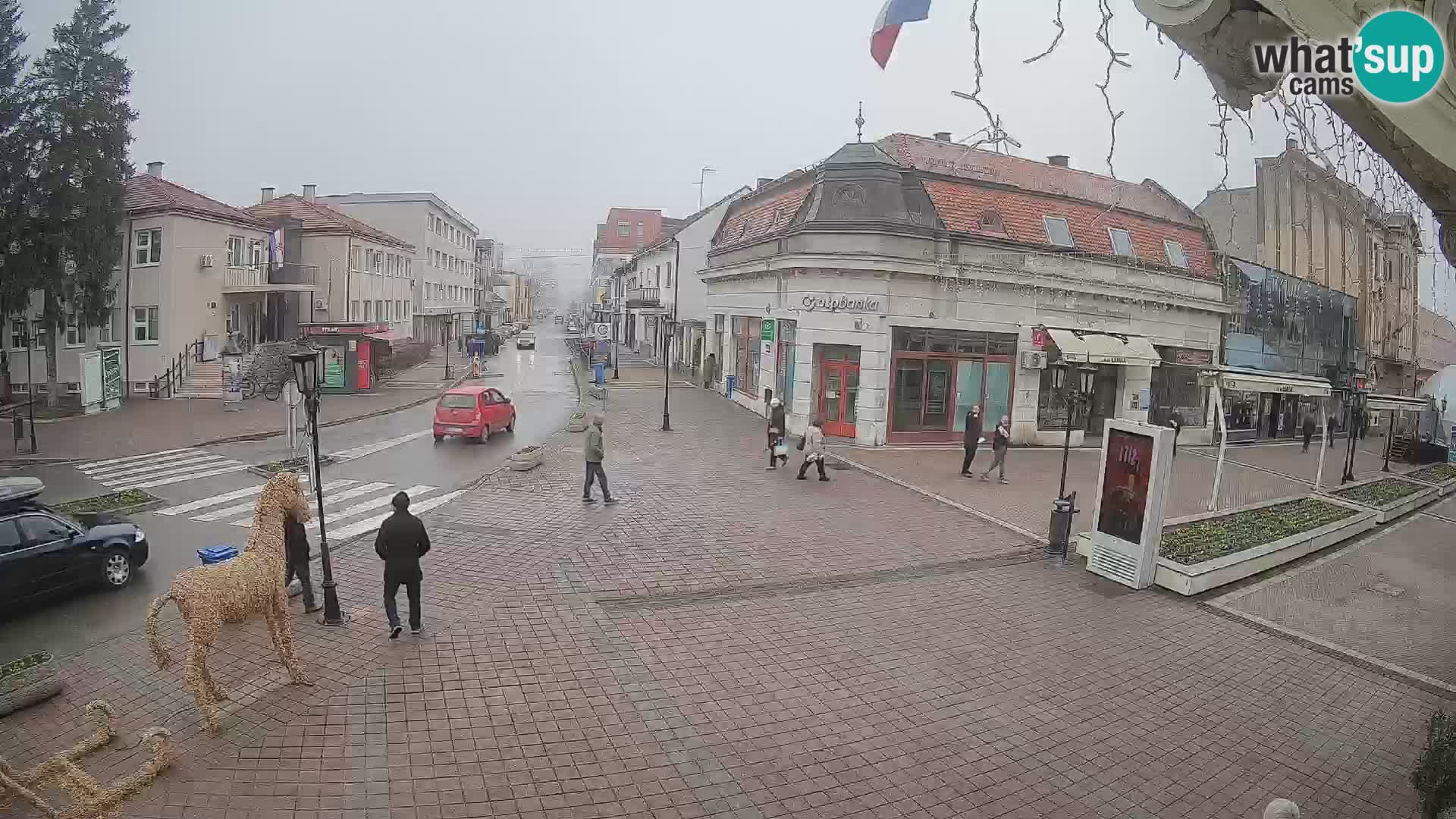 Djakovo canera en vivo – Korzo