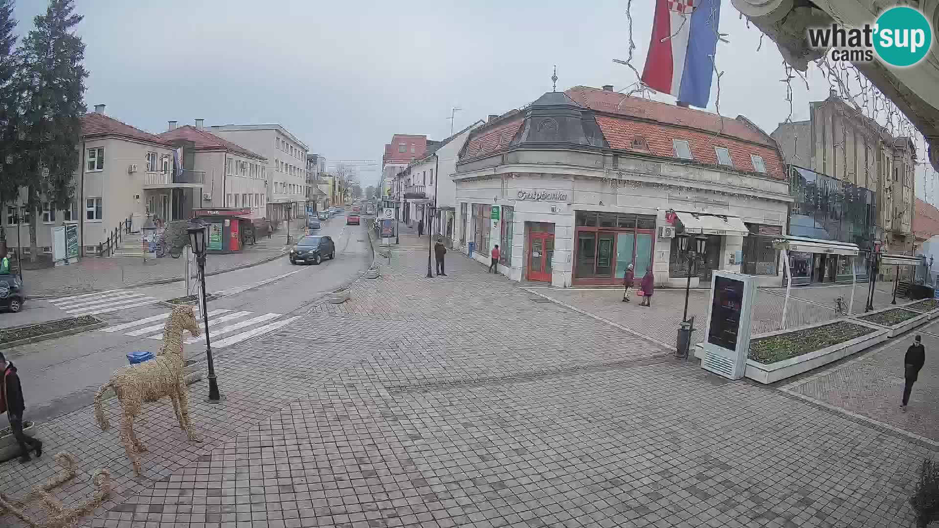 Djakovo canera en vivo – Korzo