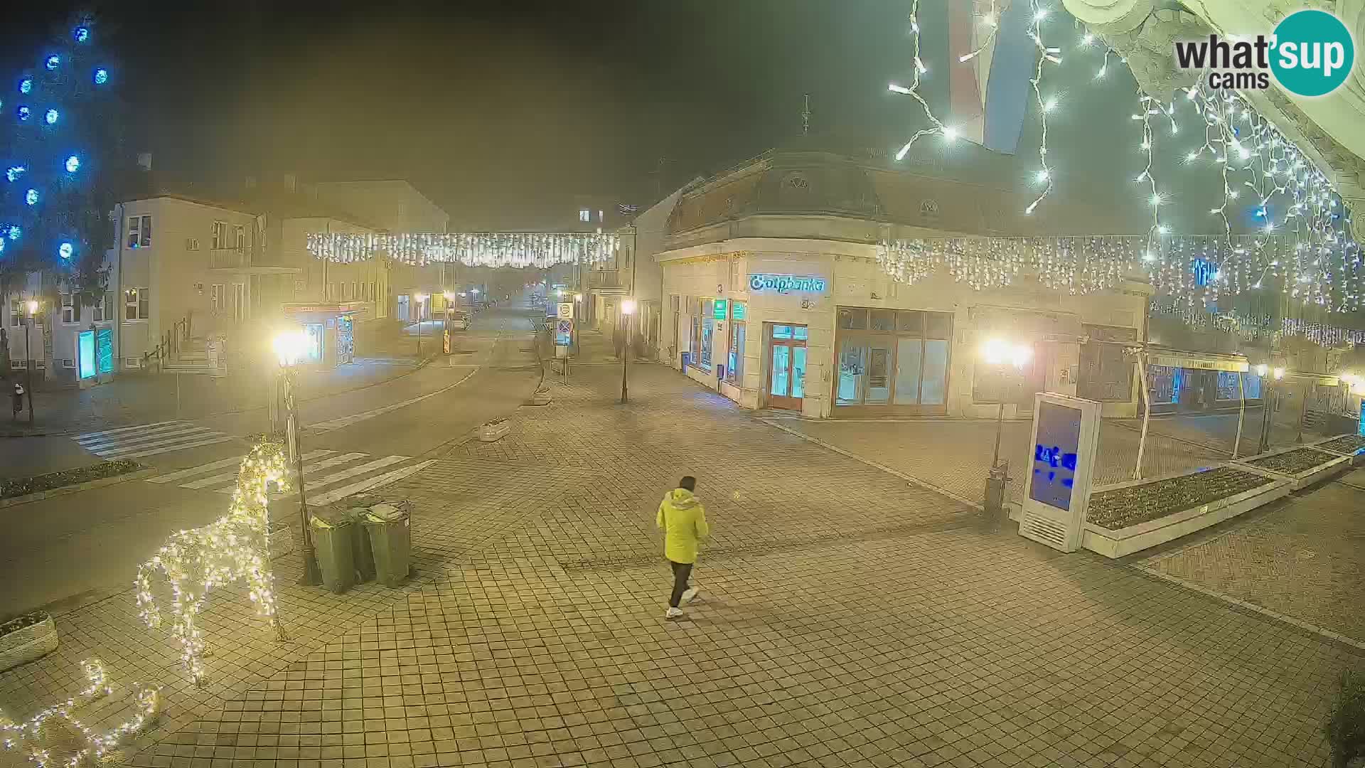 Djakovo canera en vivo – Korzo