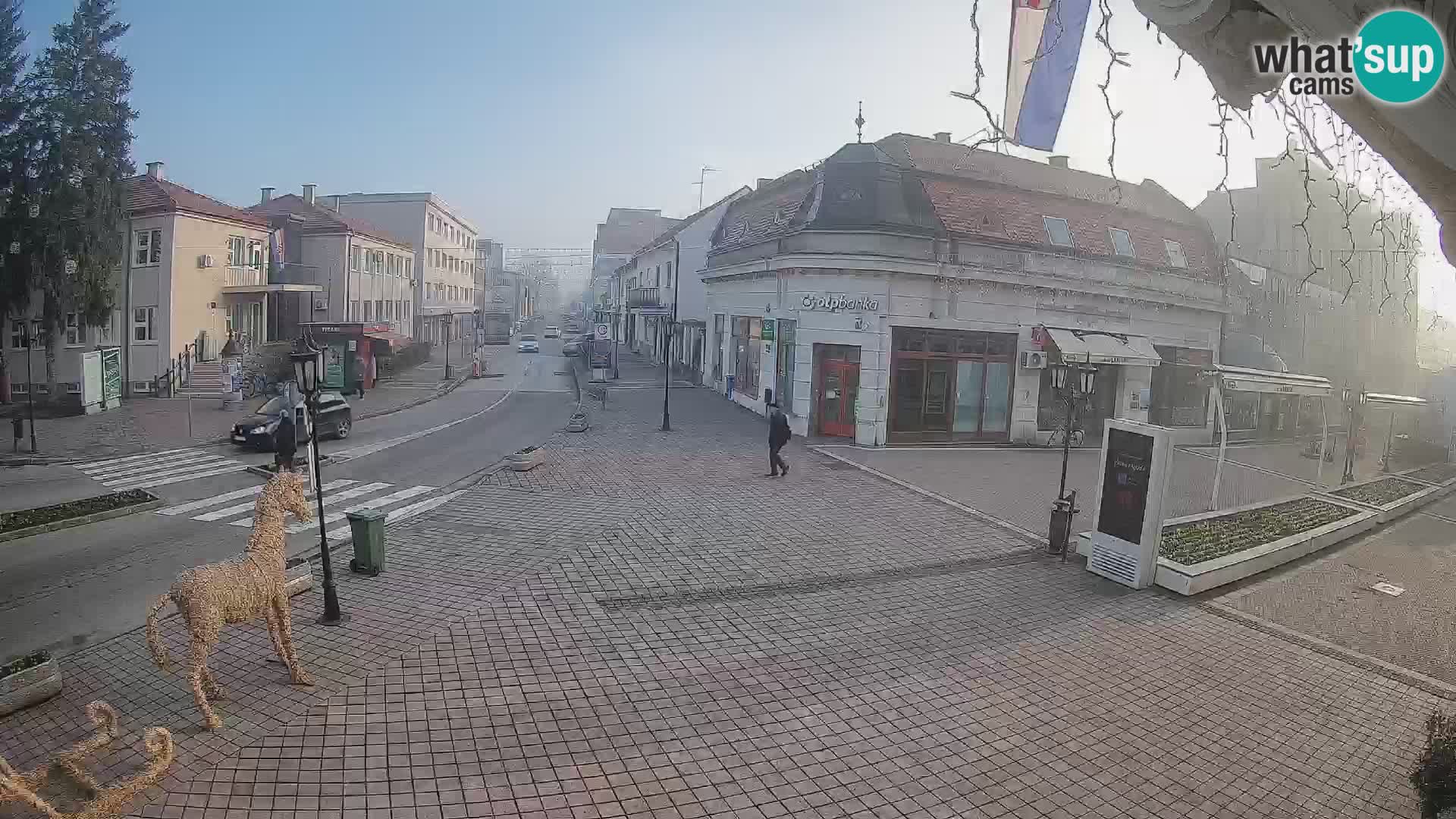 Djakovo canera en vivo – Korzo