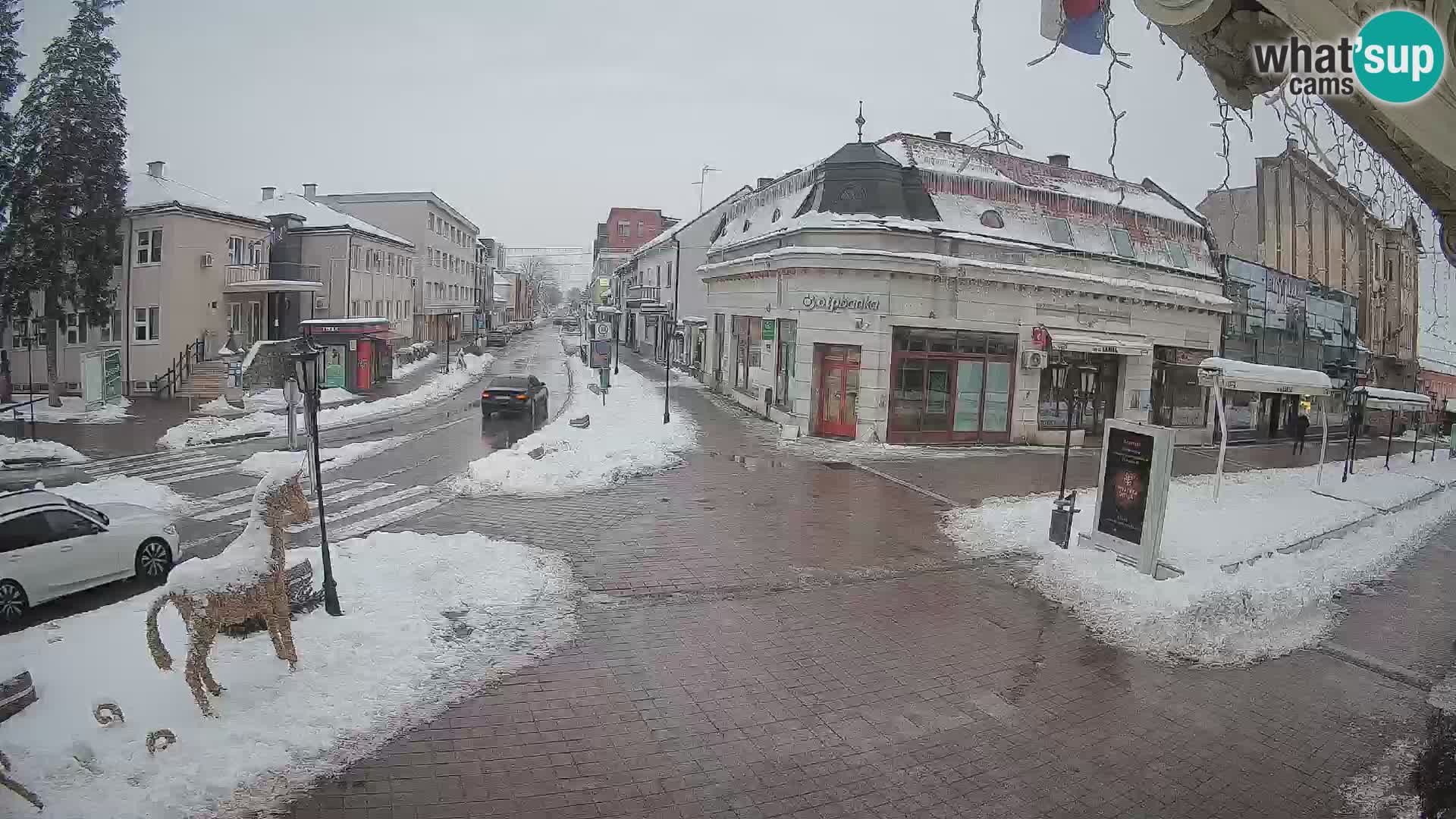 Djakovo canera en vivo – Korzo