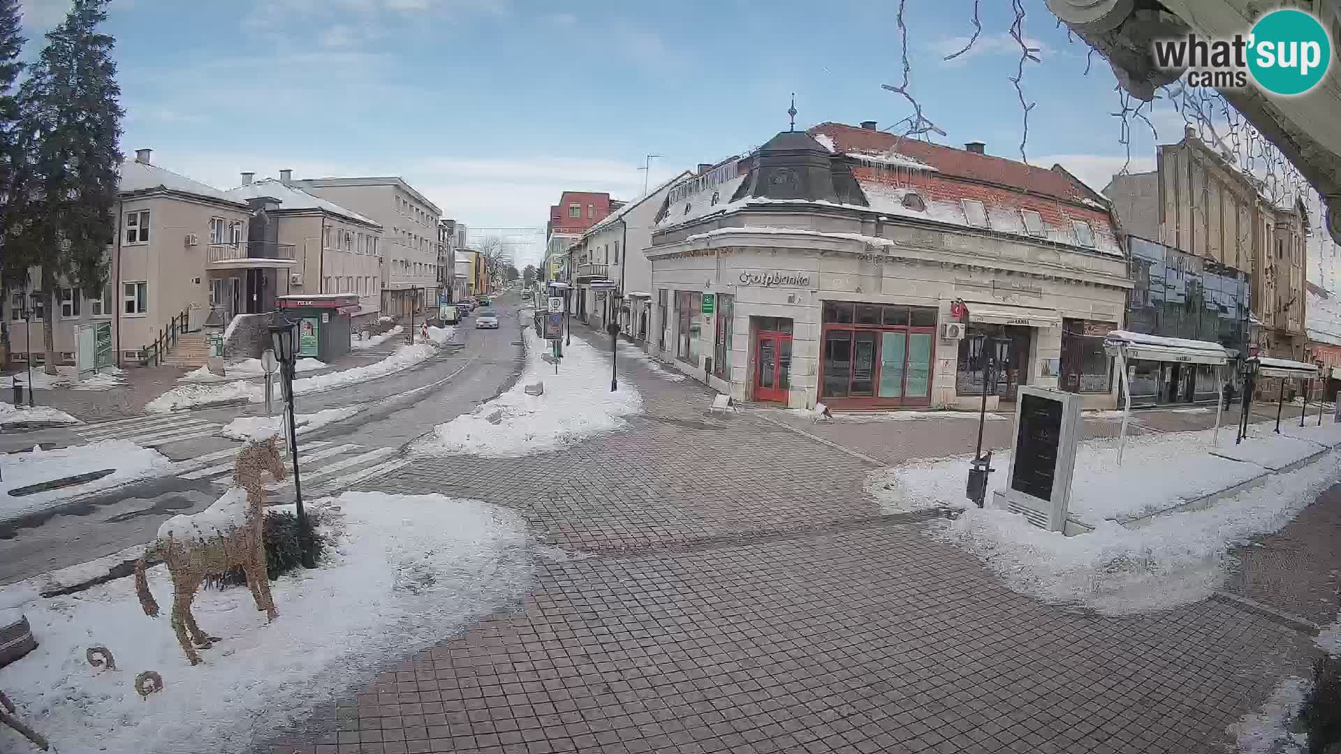 Djakovo canera en vivo – Korzo