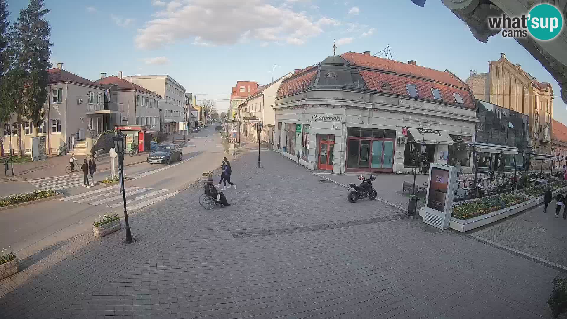 Djakovo canera en vivo – Korzo