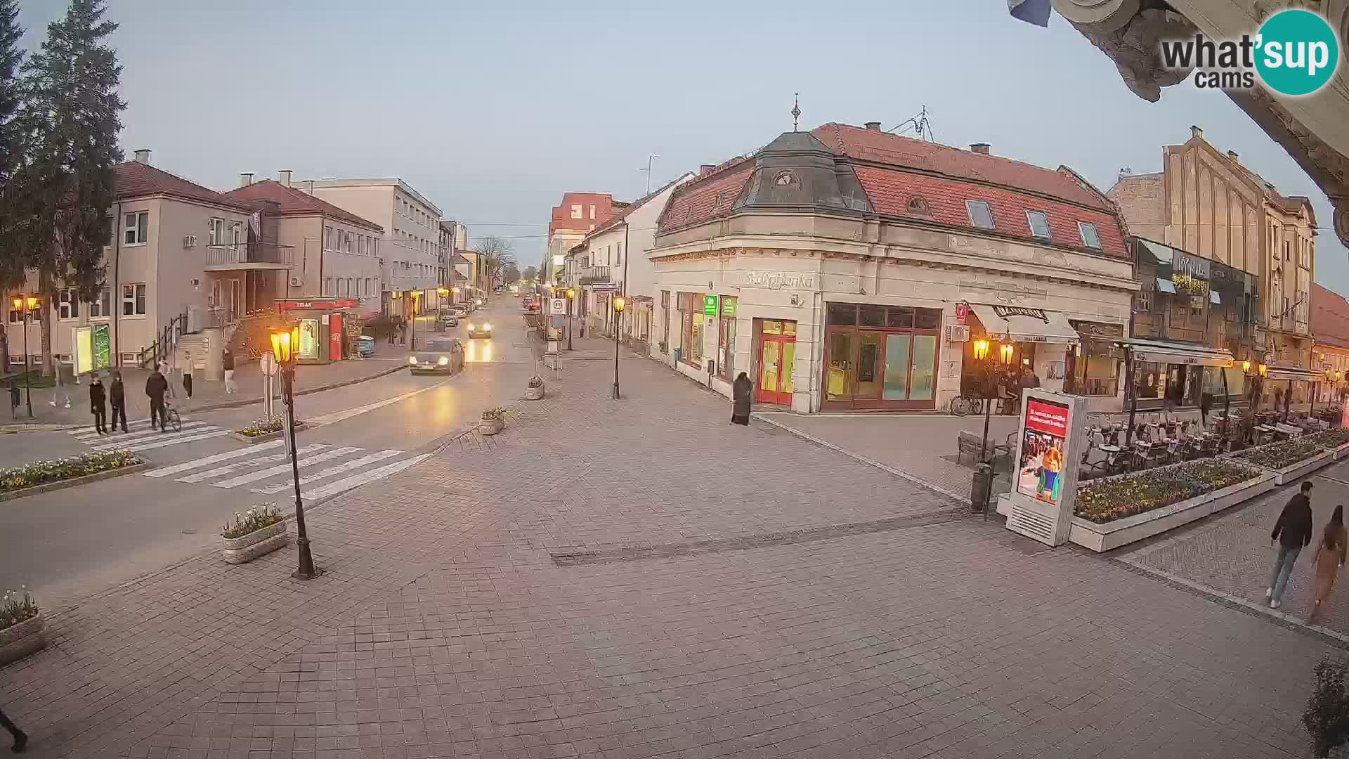 Djakovo canera en vivo – Korzo