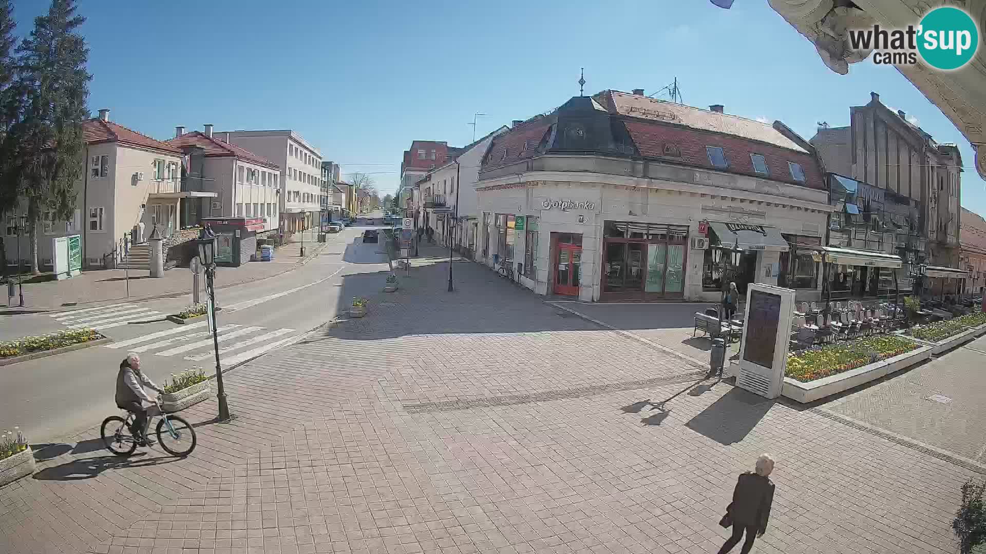 Djakovo canera en vivo – Korzo