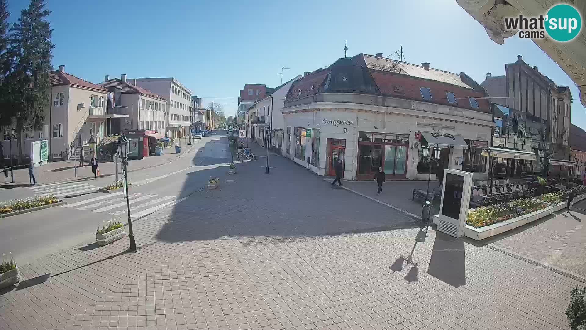 Djakovo canera en vivo – Korzo