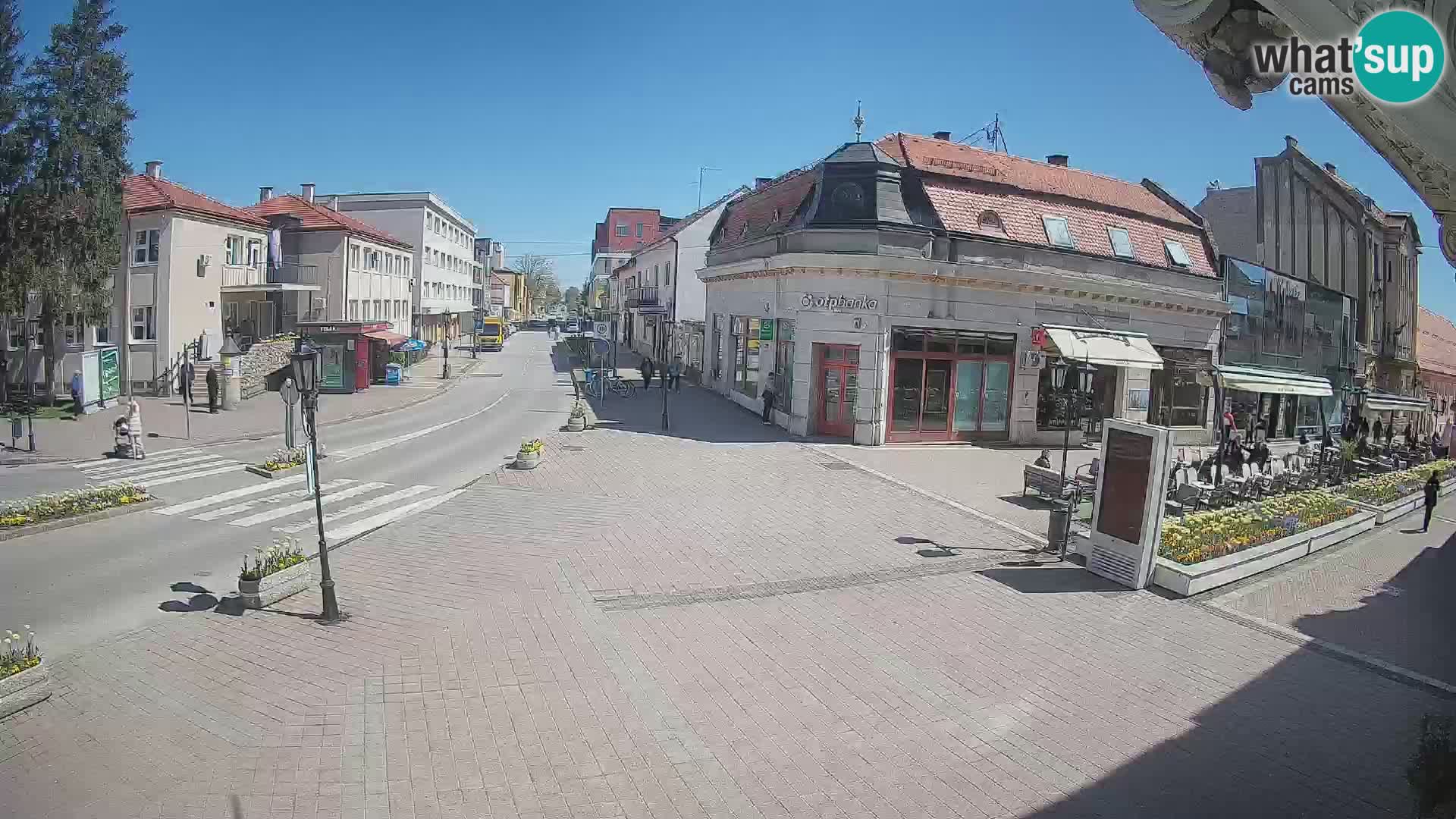 Djakovo canera en vivo – Korzo