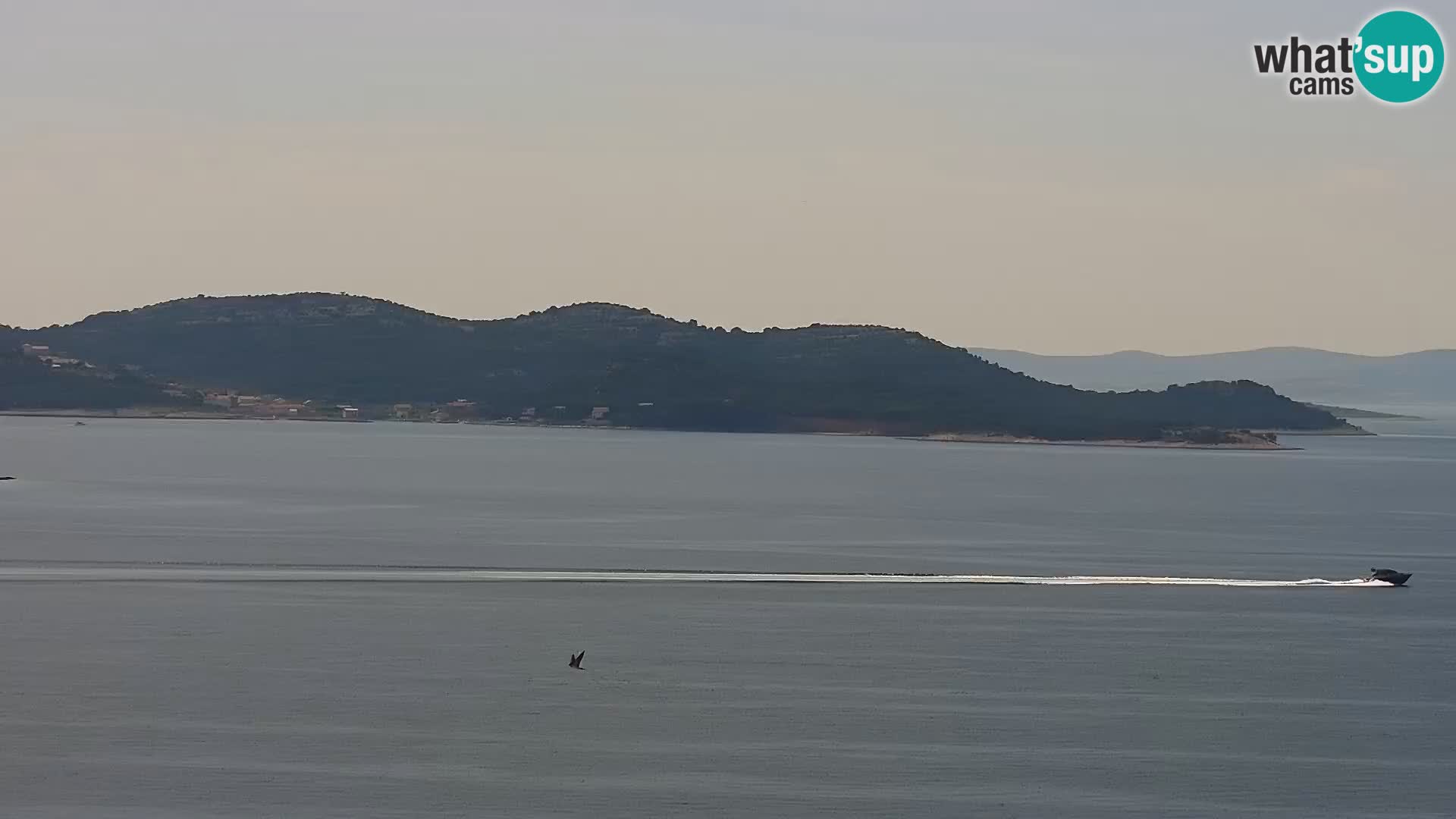Kamera v živo Drage panorama