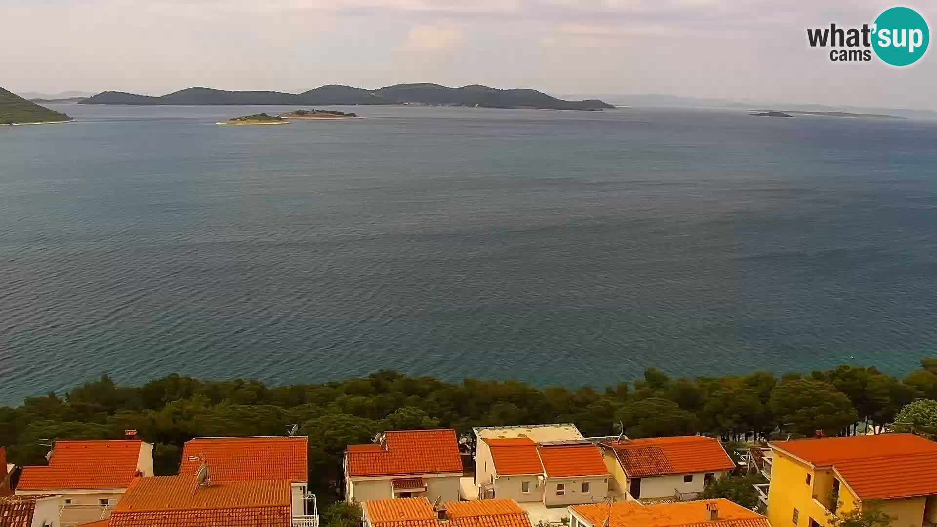Camera en vivo Drage Croacia