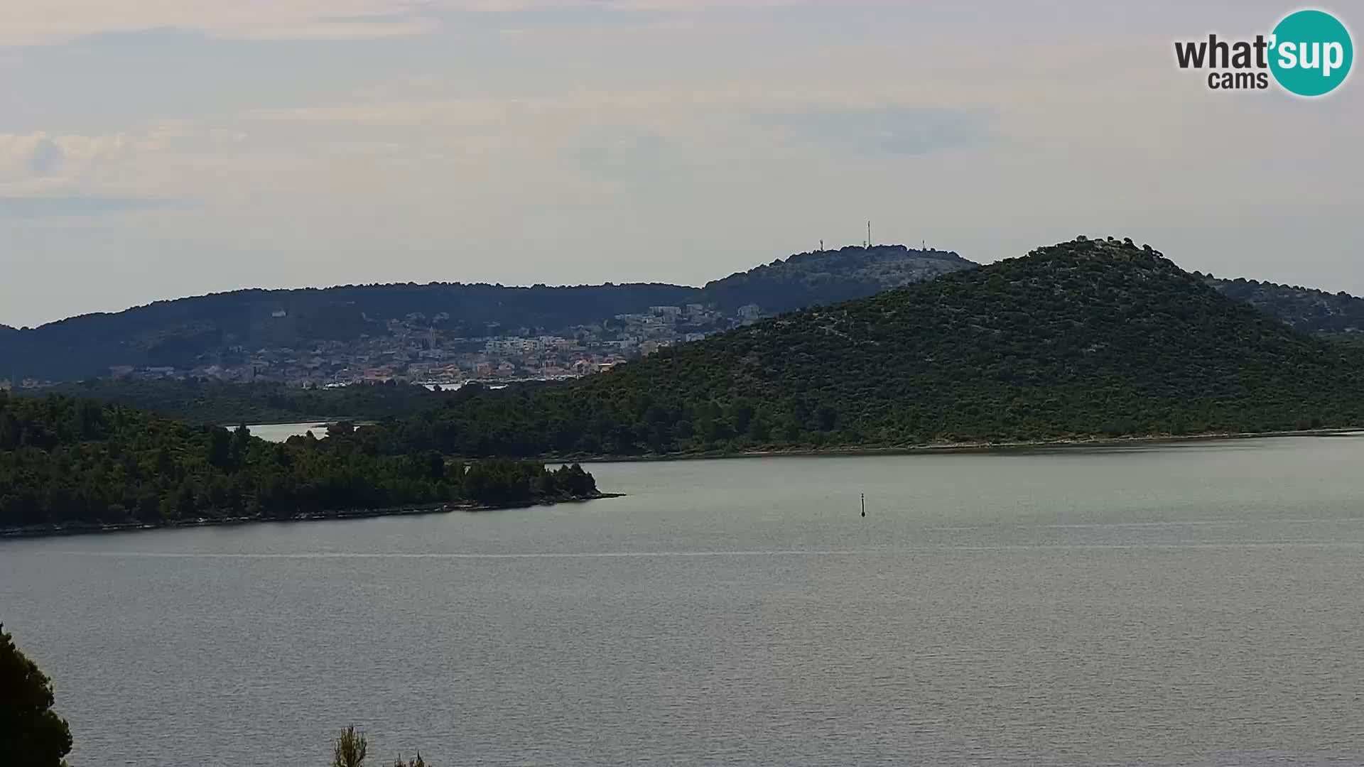 Camera en vivo Drage Croacia