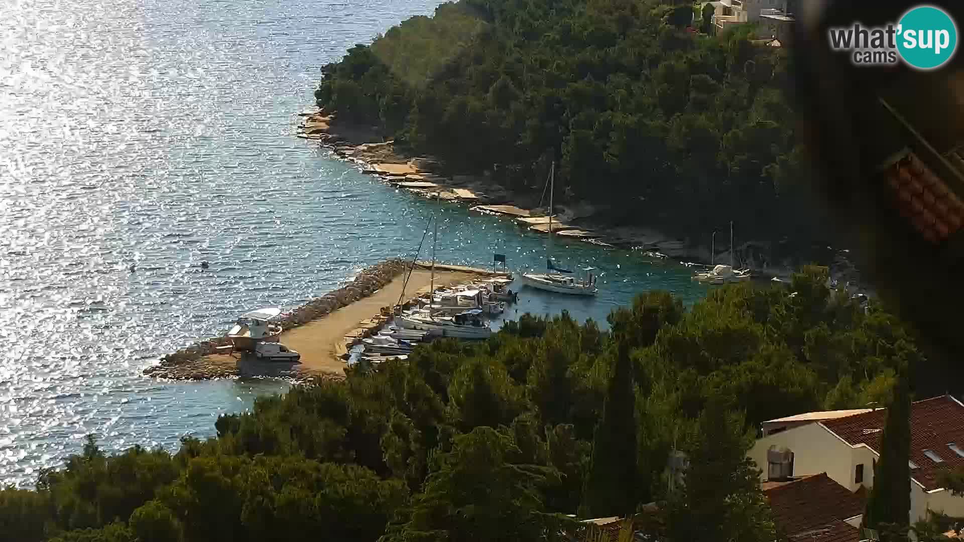Webcam Drage – panorama view